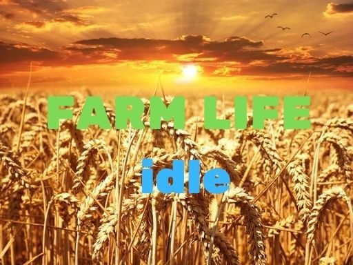 Countryside Economy Manager