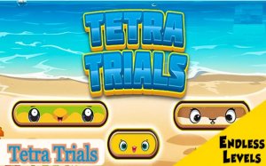 Tetra Trials Reverse Tetris Puzzle