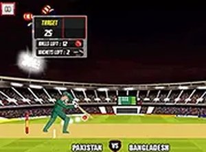 Cricket World Cup Online Game